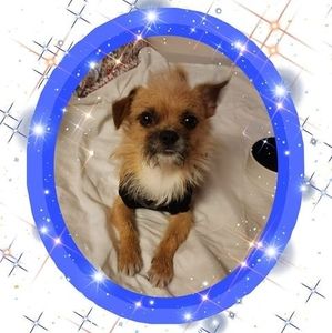 Meet your Posher, Raquel